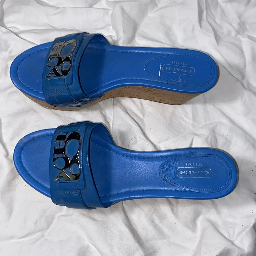 Coach rare blue